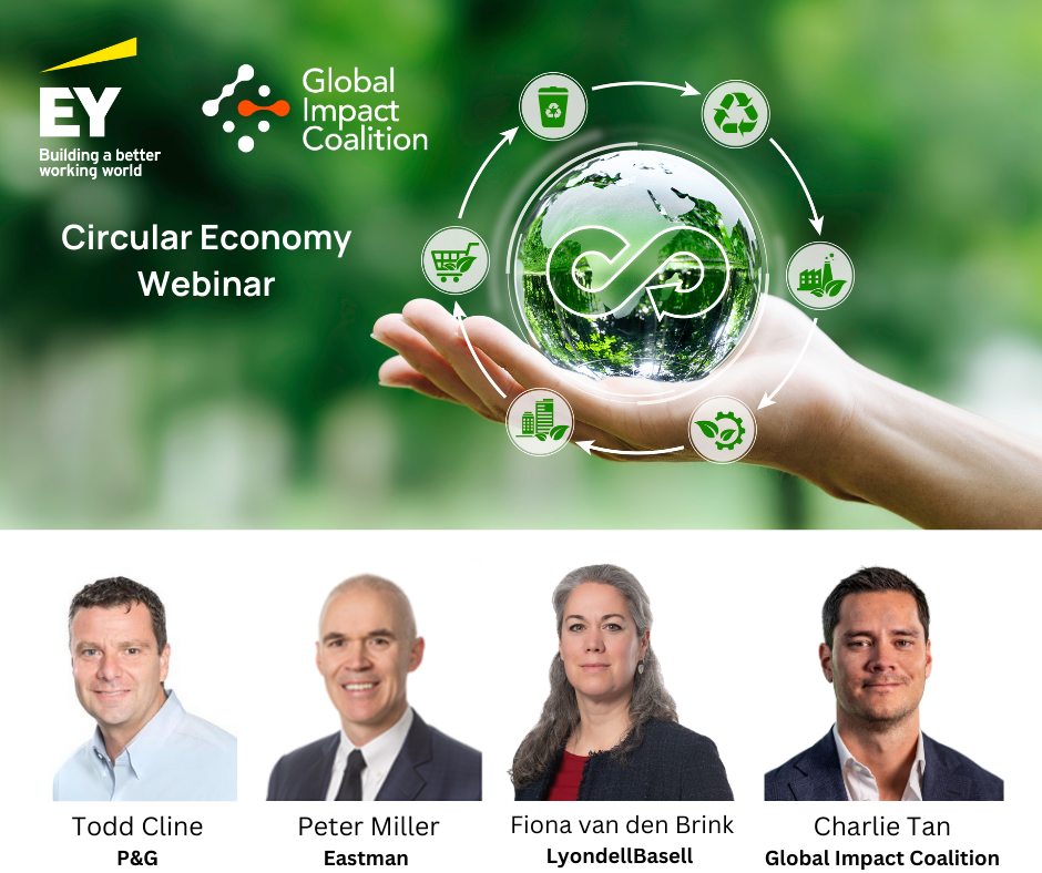 EY Webinar Invite image